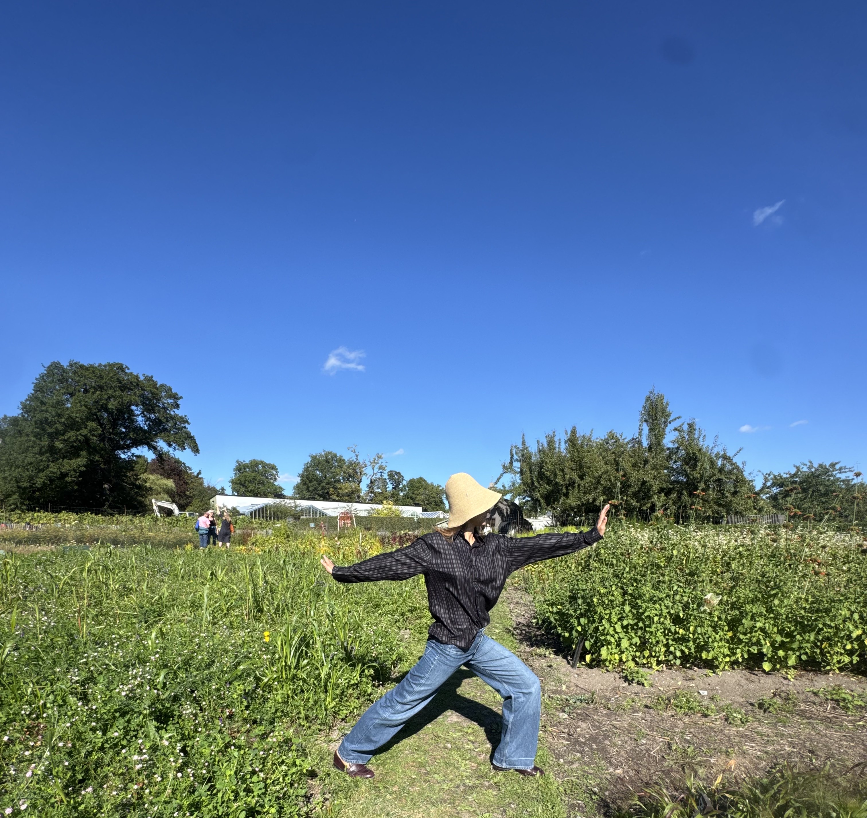 Person in a wide straw hat stretching in a sunlit field under a blue sky